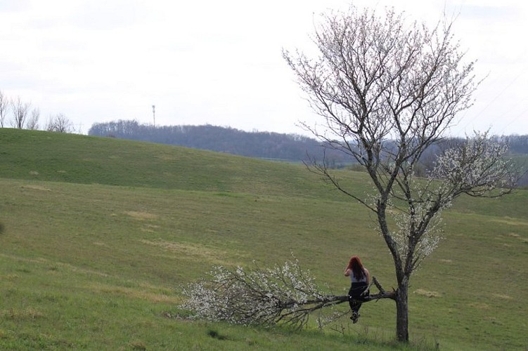 Boulogne sur Gesse "Côtes de Bieil et Montoussé"