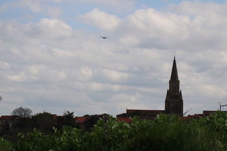 Boulogne sur Gesse "Côtes de Bieil et Montoussé"