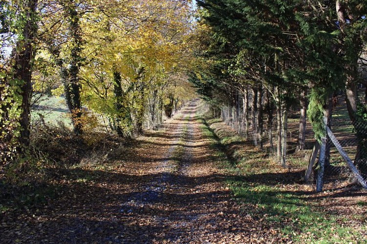 Landorthe "Les Hauts"