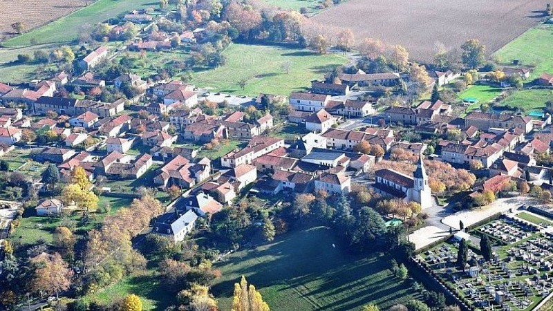 Blajan "La forêt"