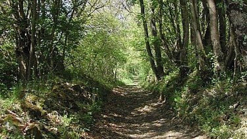 Aurignac "Sentier Botanique"