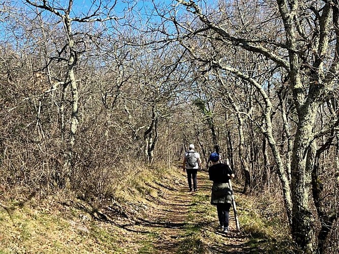 Régades "Sentier du Cap de Pouy"