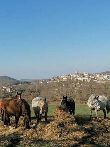 Aurignac "Sentier des 7 collines"