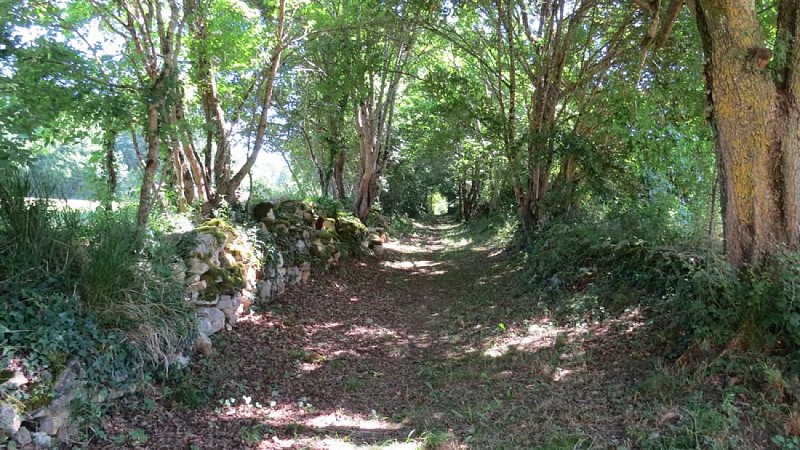 Aurignac "Sentier de Bonnefont"