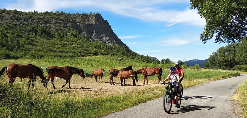 Eas'e-Bike des Parots