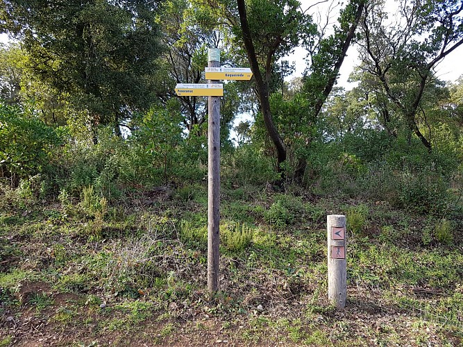 Hiking Panoramas of the Gulf of Saint-Tropez and the Bay of Cavalaire