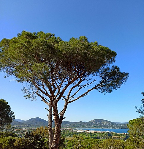 Randonnée Le Sentier de la Mer