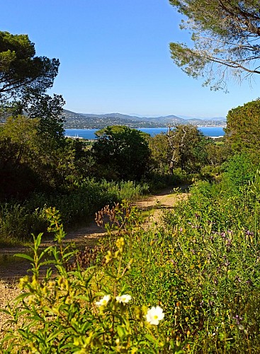 Randonnée Le Sentier de la Mer