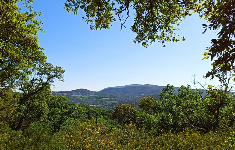 Vue sur les vignes de Chausse sur le sentier de la mer à Gassin https://gassin.eu