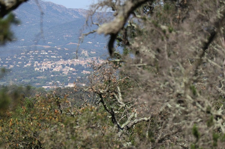 Vue sur le village de Grimaud