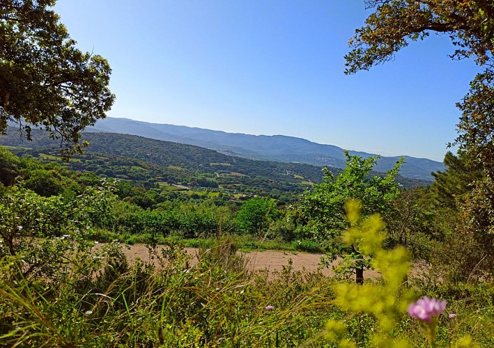 Randonnée Le Sentier de la Mer