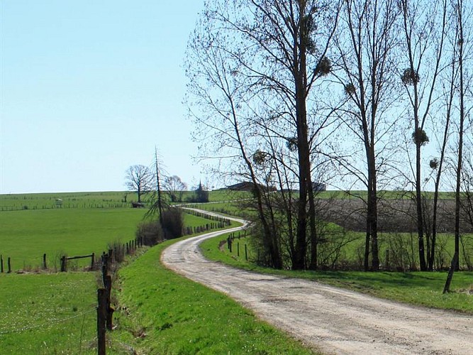 LES VERRIERS ET LE MASSIF FORESTIER DE MORIVILLE WEG