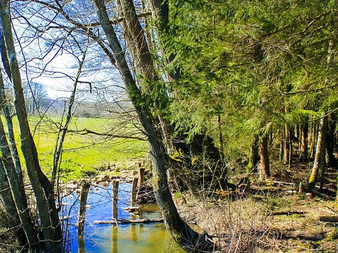 LES VERRIERS ET LE MASSIF FORESTIER DE MORIVILLE WEG