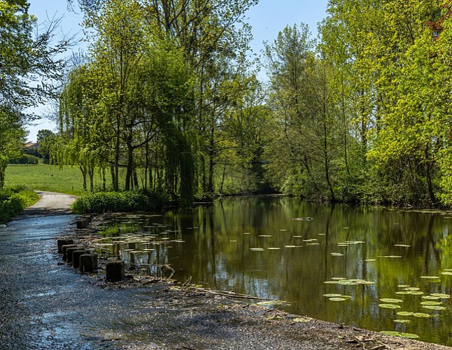 Sentier Les Côteaux de Thorigny - Chavagnes-en-Paillers