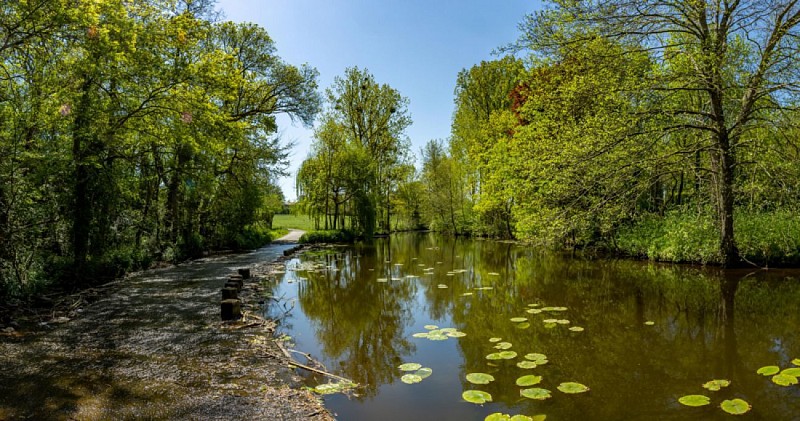 Sentier Les Côteaux de Thorigny - Chavagnes-en-Paillers