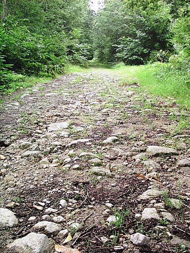 La voie romaine et le chemin royal