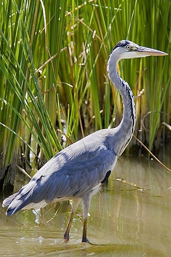 Circuit des Serves_2