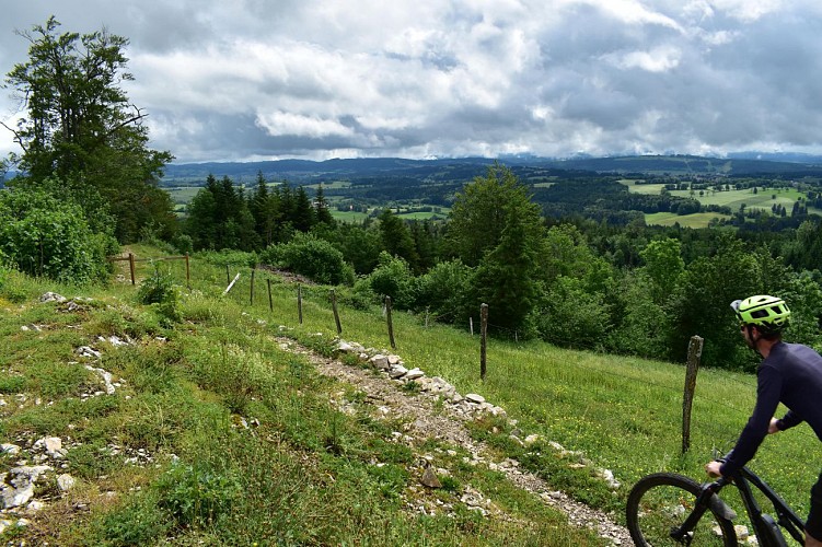 Le Faux Verger en VTT, boucle 19