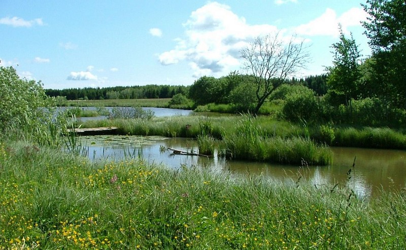 Le plateau du Russey, boucle 52