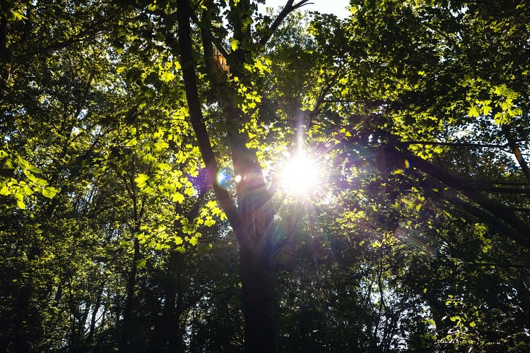 Rando Cheix_Le Cheix