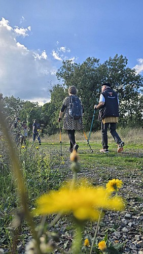 La Forêt de Marcoin_Marsat