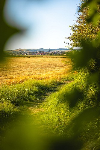 Au fil de l'eau_Chambaron-sur-Morge