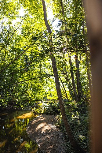 Au fil de l'eau_Chambaron-sur-Morge