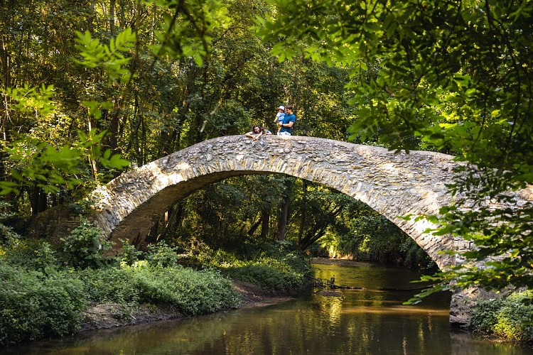 Au fil de l'eau_Chambaron-sur-Morge