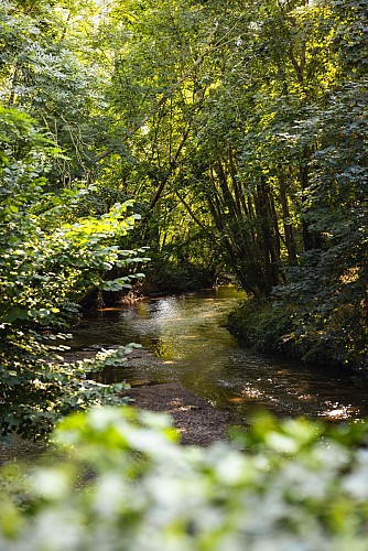 Au fil de l'eau_Chambaron-sur-Morge