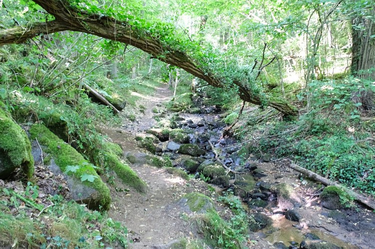Le sentier de l'Association Pour l'Aménagement des Gorges d'Enval_Enval