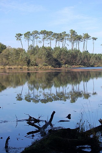 Etang d'Abesse