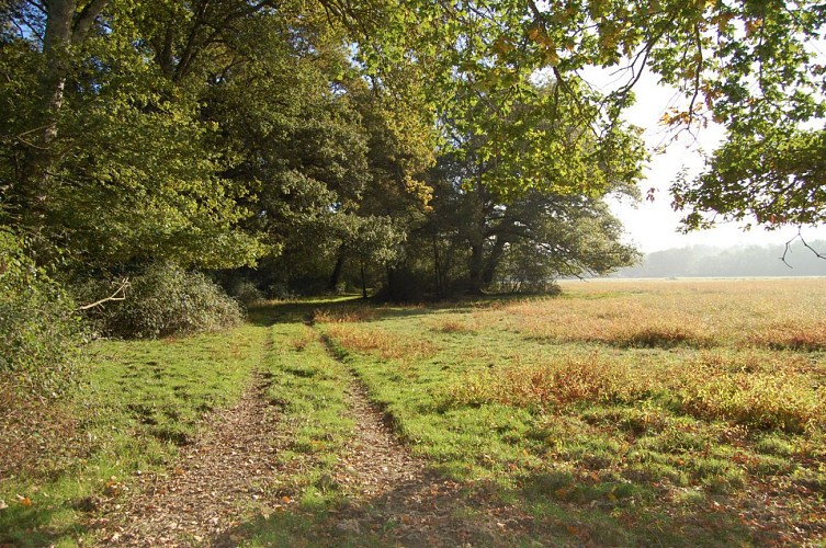 Sentier