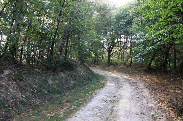 Chemin à Labrouquère