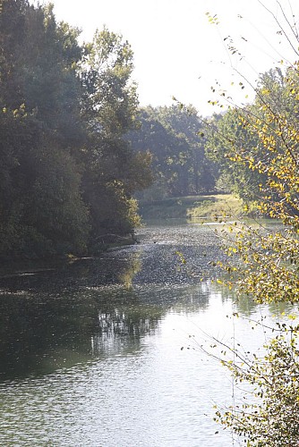 L'Adour à Laurède
