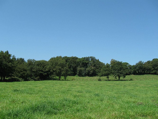 Paysage chalossais