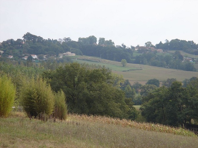 Panorama