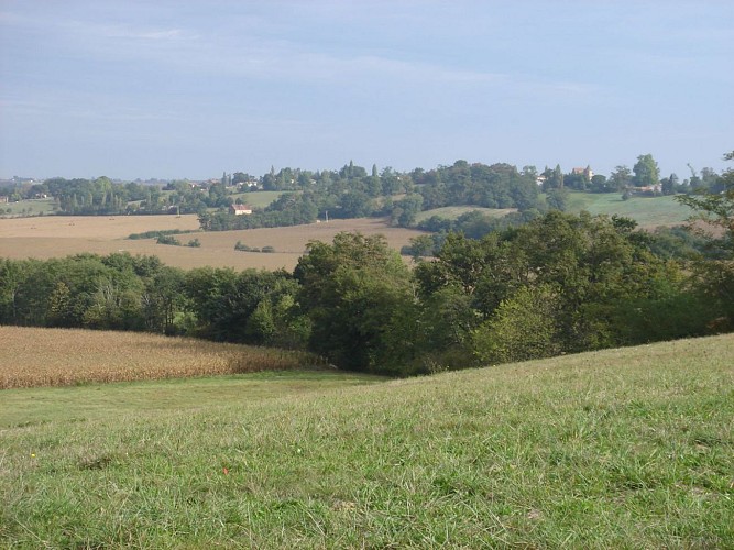 Panorama