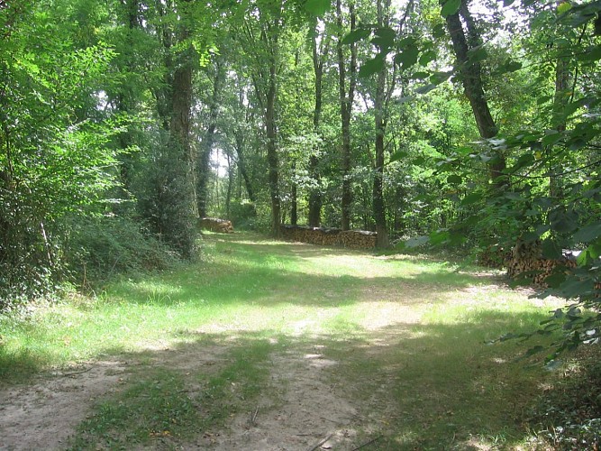 Chemin