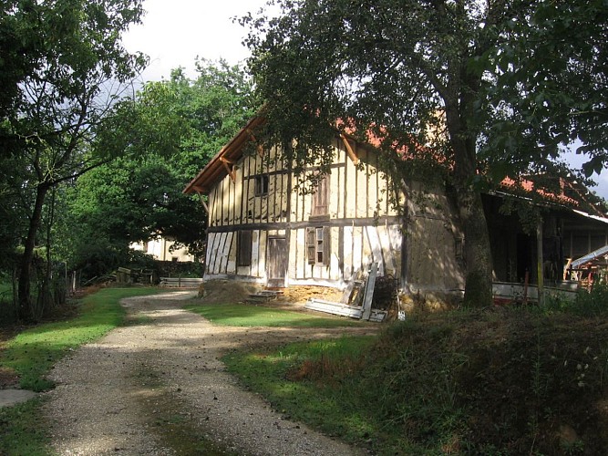 Maison landaise