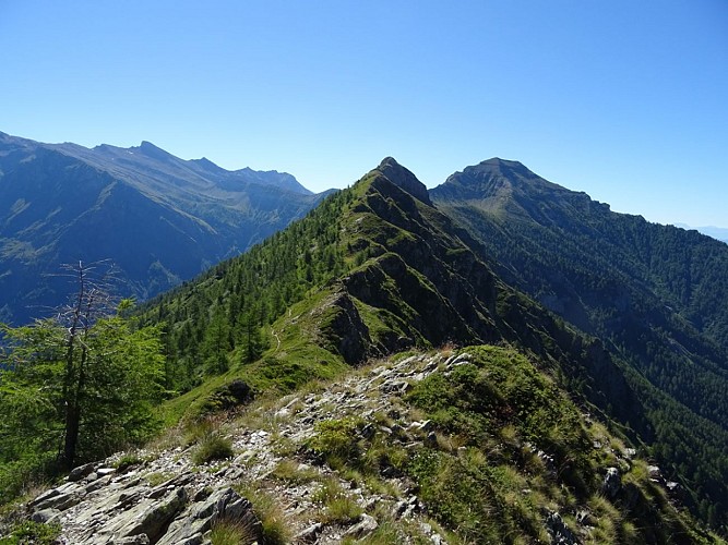 Col du Cendrier