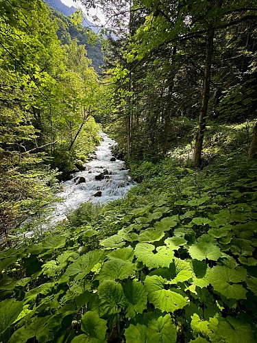 Cabanes de Prentiq_Saint-Maurice-en-Valgodemard