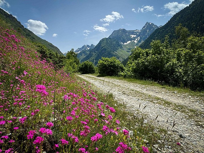 Cabanes de Prentiq_Saint-Maurice-en-Valgodemard