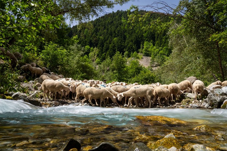 Cabanes de Prentiq_Saint-Maurice-en-Valgodemard