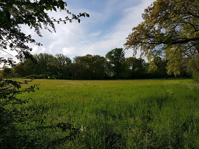 La Côte Rouge_Saint-Laure