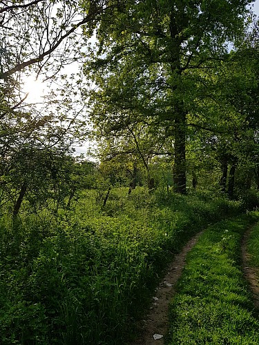 La Côte Rouge_Saint-Laure