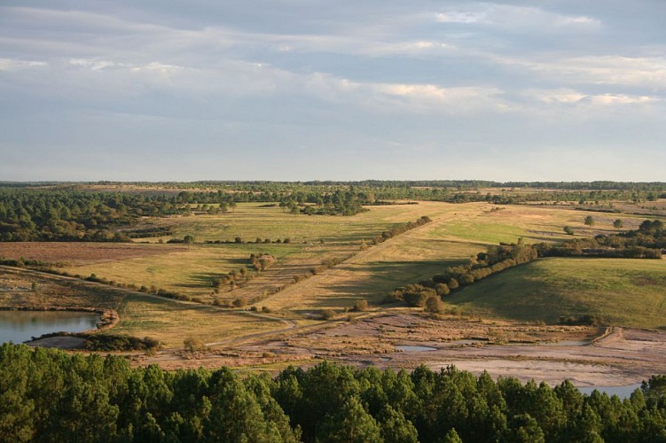 Plateau des grues