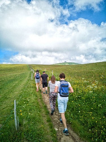 Le sentier des névés du hohneck au kastelberg