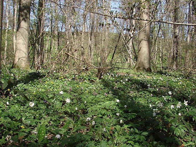Randonnée ENS Val de Morge