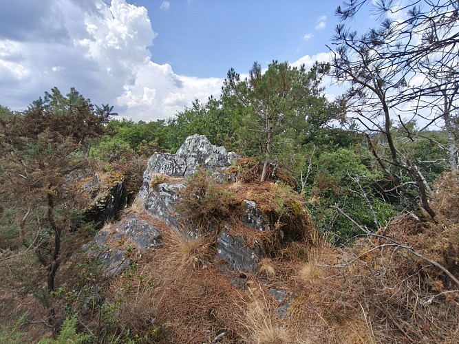 Les Grées Molac