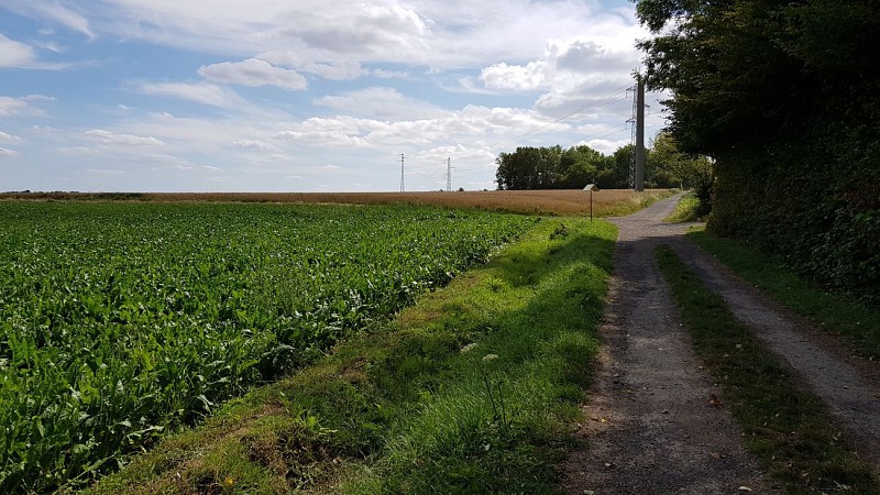 Le Sentier du Poilu